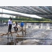 Quảng Ngãi to destroy of 21 white spot infected shrimp ponds
