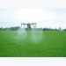 Central province to use drones in rice farming