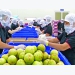 New opportunities open up for agricultural product processing