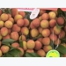 Hải Dương exports first lychees to Japan