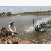 Bến Tre farmers hesitate in stocking shrimp amid drought and salt intrusion