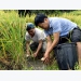 nuoi-ca-trong-ruong-bac-thang-o-vung-cao-ha-giang