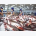 Seafood export declined significantly in China