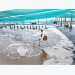 Environmental issues in intensive shrimp farming unsolved