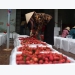 Lychee 'campaign' results in big sales, Son La mango harvest also a success