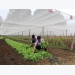 Hoa Binh promotes organic agricultural production