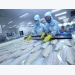 Fishery exports expected to hit US$8.5 billion this year