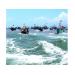 lan-dau-duoc-cap-phep-danh-bat-tren-ngu-truong-indonesia