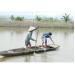 nuoi-tom-ca-bang-thuc-an-tu-nhien