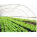 Hà Nội đầu tư gần 600 tỷ đồng vào nông nghiệp công nghệ cao