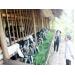 Triển vọng từ mô hình nuôi dê