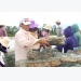 Nghệ An: Nuôi tôm VietGAP thu nhập gần 1 tỷ đồng/ha