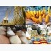 Middle East targeted for agro-exports