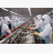 Efforts made to control disease safety in shrimp exported to Australia