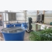 An engineer’s design for a classroom aquaculture-aquaponics system