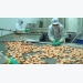 EU becomes largest importer of Vietnamese shrimp