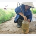 bien-dat-bo-hoang-thanh-vua-rau-huu-co-hoc-sinh-duoc-an-rau-sach