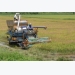 Sustainable agriculture development in ASEAN integration