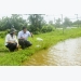 Tăng cường giải pháp quản lý ao tôm trong mùa mưa