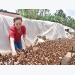 Đầu tư tiền tỷ theo đuổi nghề trồng nấm