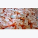 China shrimp prices expected to increase as typhoon hits farms in Pearl River Delta