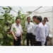 Bright spot on hi-tech agriculture