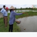 thai-binh-nuoi-tom-khong-su-dung-khang-sinh-hoa-chat