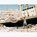 Vietnam encounters barriers exporting rice to China