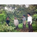 nhieu-mo-hinh-thich-ung-voi-bien-doi-khi-hau-hieu-qua