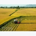 Enhancing added value for Vietnamese agricultural products
