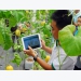 Vietnam should apply new tech to agriculture: experts