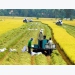 Vietnam sells more rice to China, raising concerns