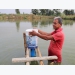 Testing low-cost demand carp feeders in Nepal