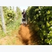 Coffee machine leaves good taste for farmers
