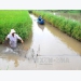 thu-loi-tren-300-trieu-dong-tu-mo-hinh-sang-tao-lua-tom