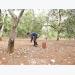 Has the cashew industry overcome its difficulties?