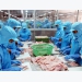 Seafood business under pressure to boost competitiveness