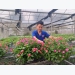 Agriculturalist pushes hi-tech farming in Vietnam to limits