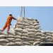 Improved quality and higher demand boost Vietnam rice export outlook