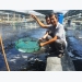 Fast water treatment technology boosts efficient shrimp farming