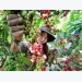 Vietnam to increase domestic coffee consumption