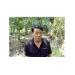 thu-nhap-cao-tu-mo-hinh-trong-chom-chom-xen-xoai-dai-loan