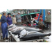 Đề Nghị Sản Xuất Thử Thiết Bị Câu Cá Ngừ Đại Dương Tại Bình Định