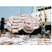 Giá gạo xuất khẩu tăng mạnh