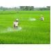 Đừng làm môi trường xấu hơn nữa