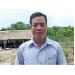 Nông dân lai tạo thành công giống vịt xiêm