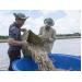 Gỡ khó cho doanh nghiệp thủy sản đồng bằng sông Cửu Long