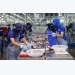 Viet Nam aquaculture trade show opens new doors