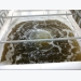 Optimizing culture of the weissflogii diatom