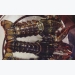 Vietnam consumes 120 tons of Canadian lobsters a year